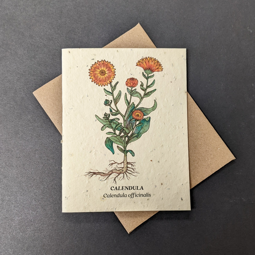 Calendula Card (seed paper)